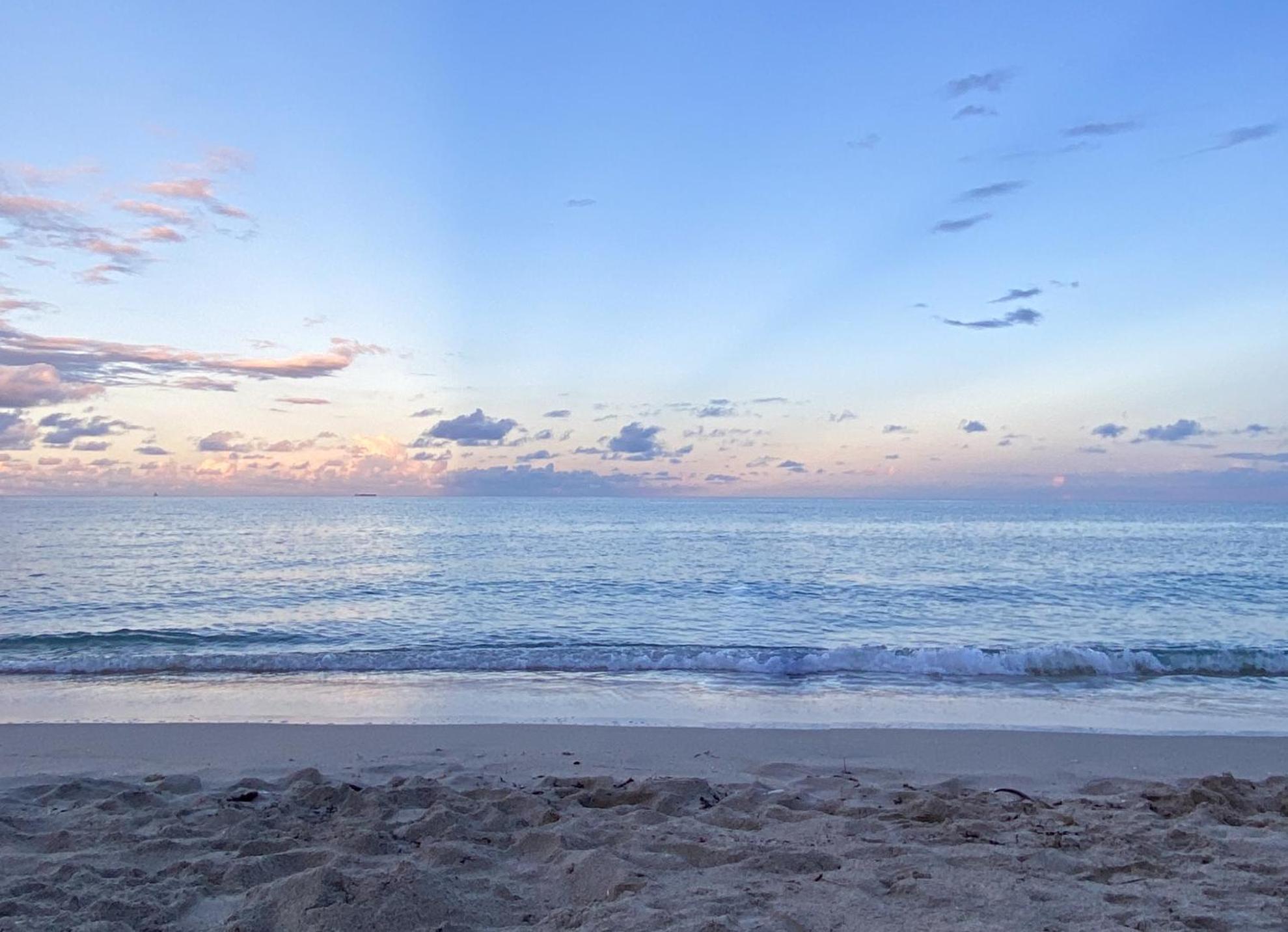 Departamento Frente Al Mar Con Salida Directa A Playa. Apartment Холивуд Екстериор снимка